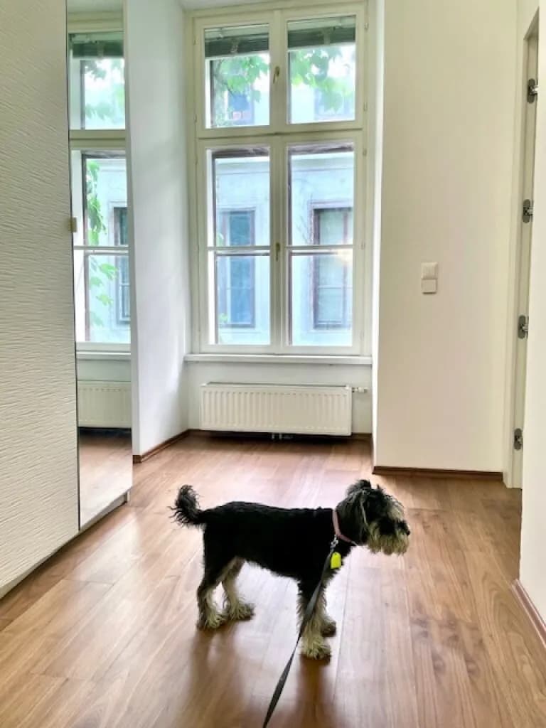 2-Zimmer-Wohnung kaufen in Wien – 55 m², € 444.000 – Bild 25 von 36