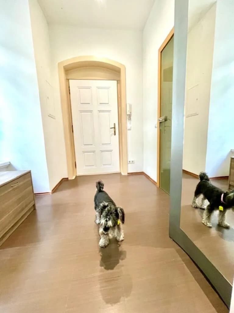2-Zimmer-Wohnung kaufen in Wien – 55 m², € 444.000 – Bild 30 von 36