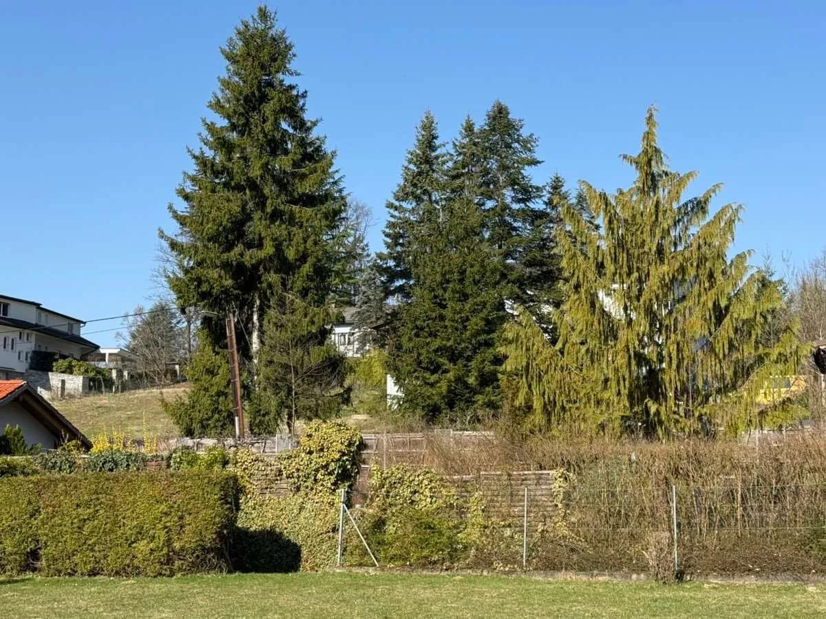 4-Zimmer-Haus kaufen in Graz – 95 m², € 549.000 – Bild 8 von 9