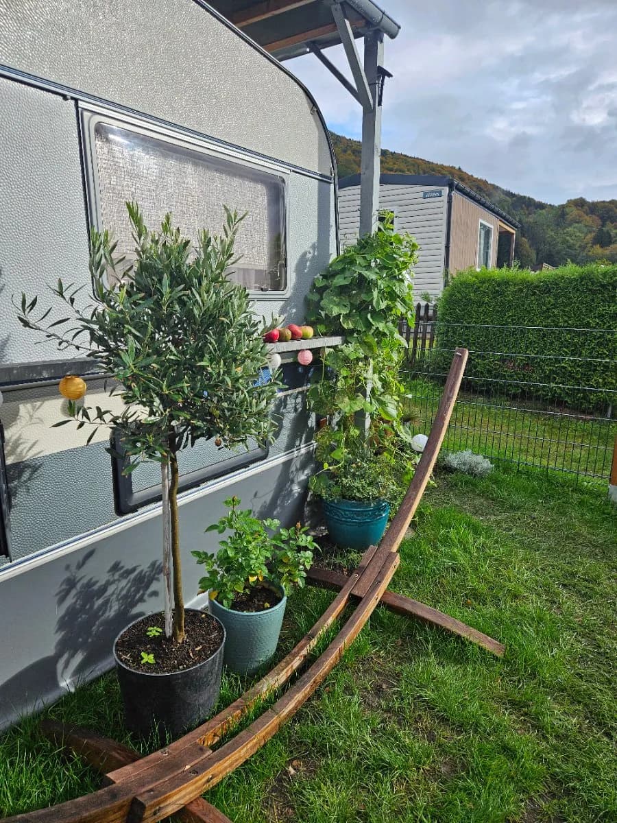 2-Zimmer-Immobilie mieten in Vöcklabruck – 17 m², € 60