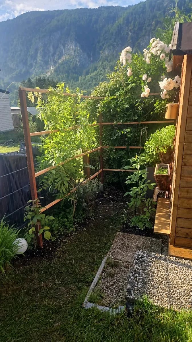 2-Zimmer-Immobilie mieten in Vöcklabruck – 17 m², € 60 – Bild 3 von 8