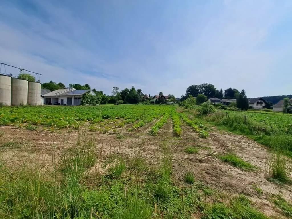 7-Zimmer-Haus kaufen in Voitsberg – 232 m², € 1.380.000 – Bild 21 von 25