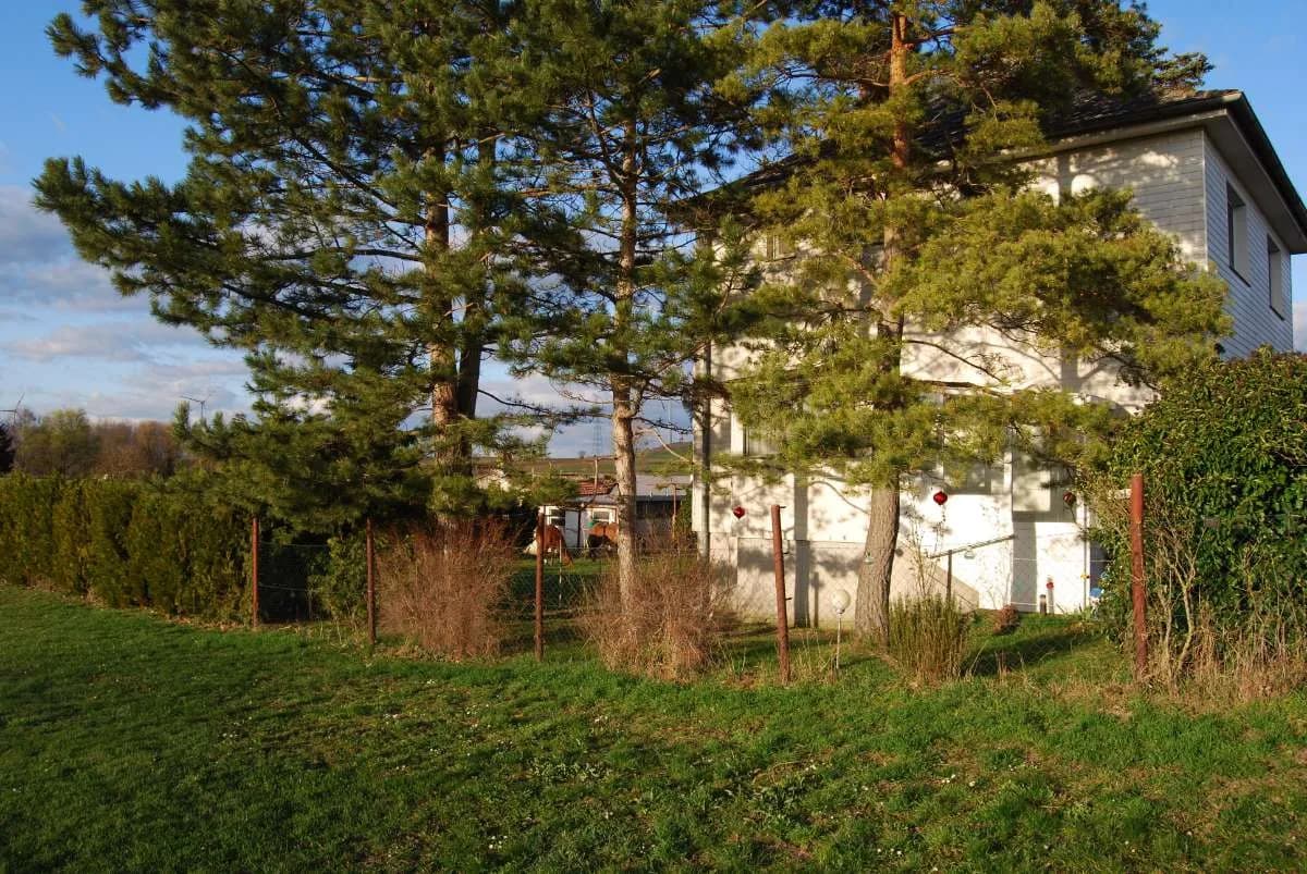 5-Zimmer-Haus kaufen in Gänserndorf – 140 m², € 269.000 – Bild 3 von 22
