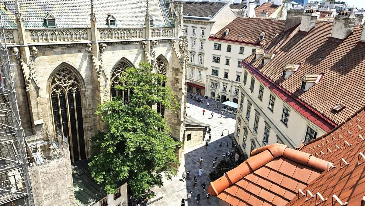 Gewerbeimmobilie mieten in Wien – 650 m², € 24 – Bild 4 von 13
