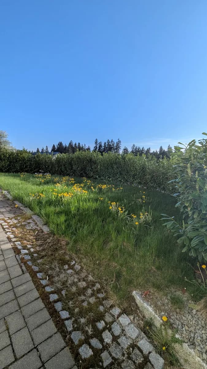 Wohnung mieten in Rohrbach – 82 m², € 762 – Bild 5 von 16
