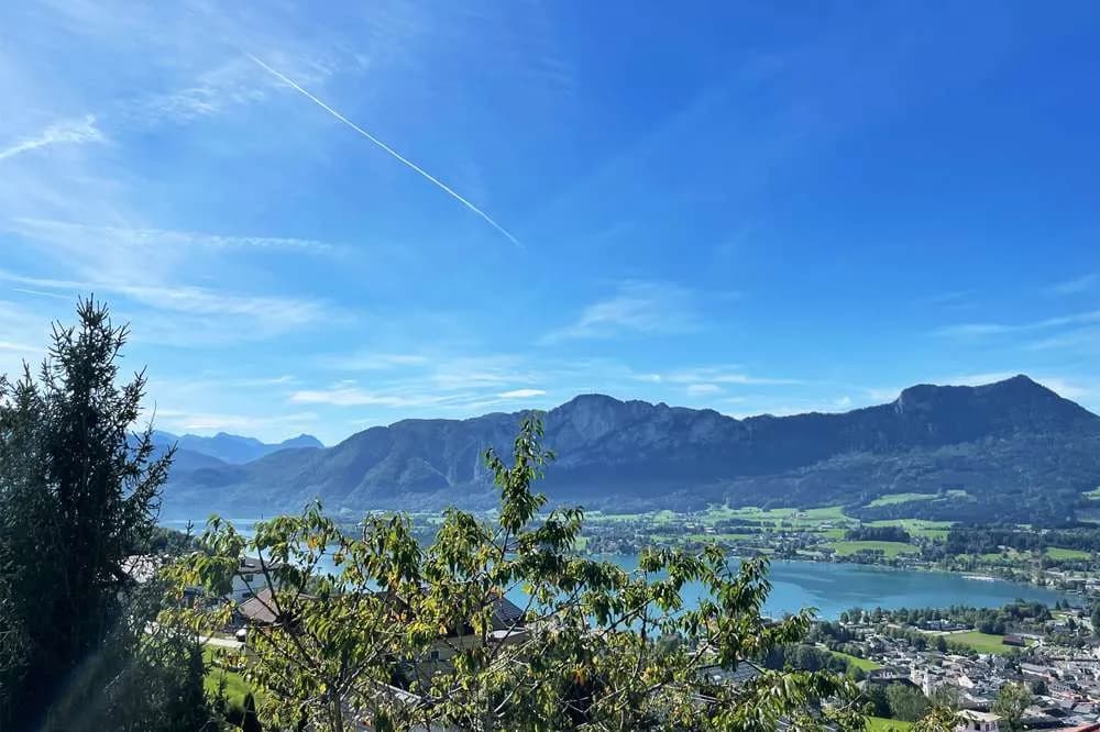 2-Zimmer-Wohnung kaufen in Vöcklabruck – 172,2 m², € 1.950.000 – Bild 3 von 7