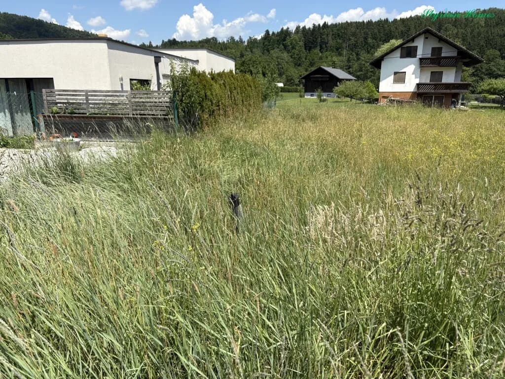 Grundstück kaufen in Graz-Umgebung – 763 m², € 118.900 – Bild 3 von 4