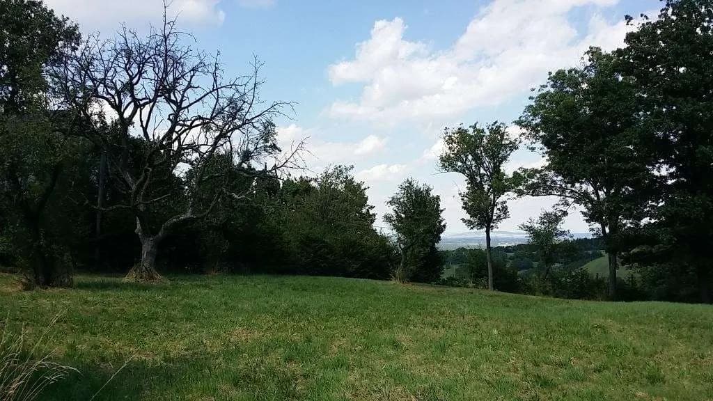 Grundstück kaufen in Tulln – 3 800 m², € 125.000 – Bild 3 von 4