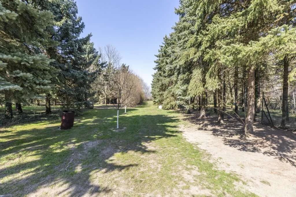 11-Zimmer-Haus kaufen in Gänserndorf – 750 m², € 1.900.000 – Bild 34 von 34