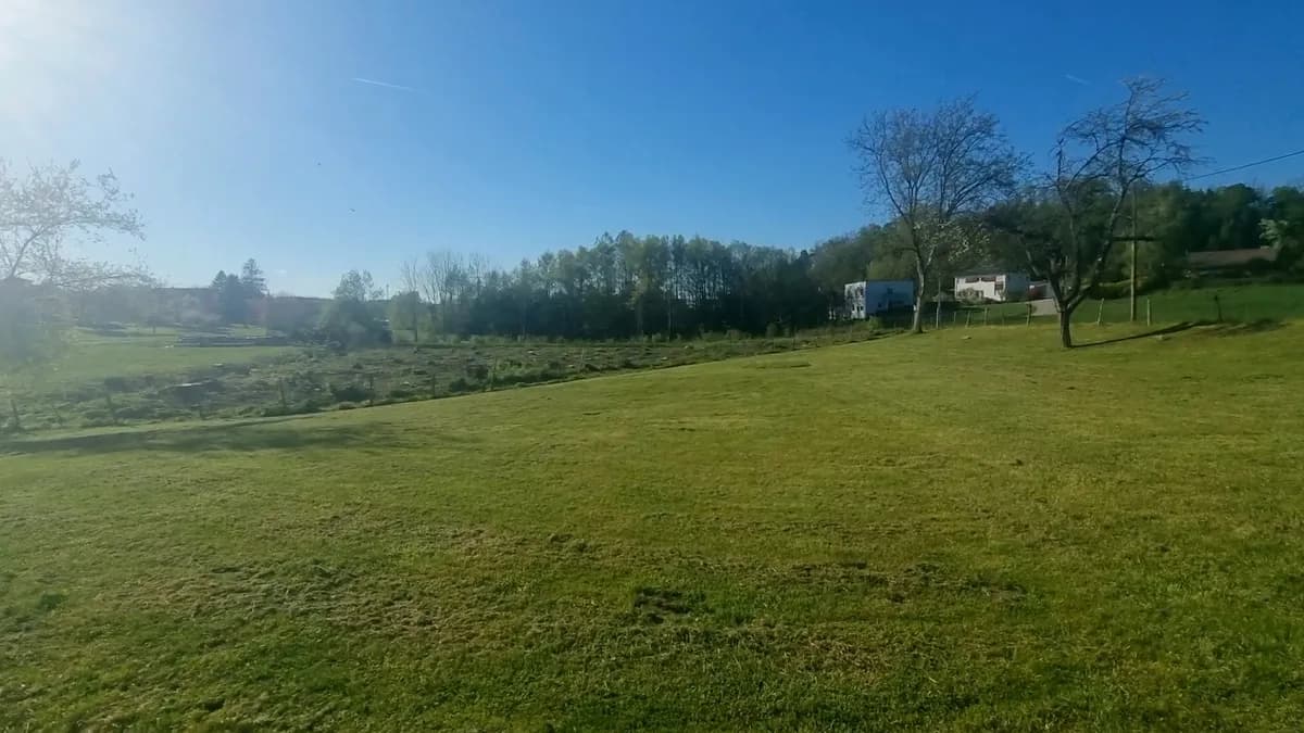 Grundstück kaufen in Linz Land – 1 100 m², € 398.000