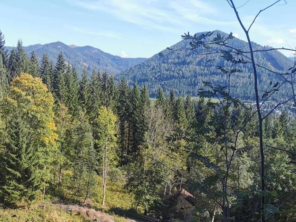 Grundstück kaufen in Bruck-Mürzzuschlag – 1 676 m², € 225.000 – Bild 3 von 6