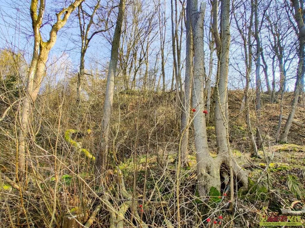 Grundstück kaufen in Wels-Land – 5 113 m², € 259.000 – Bild 10 von 19