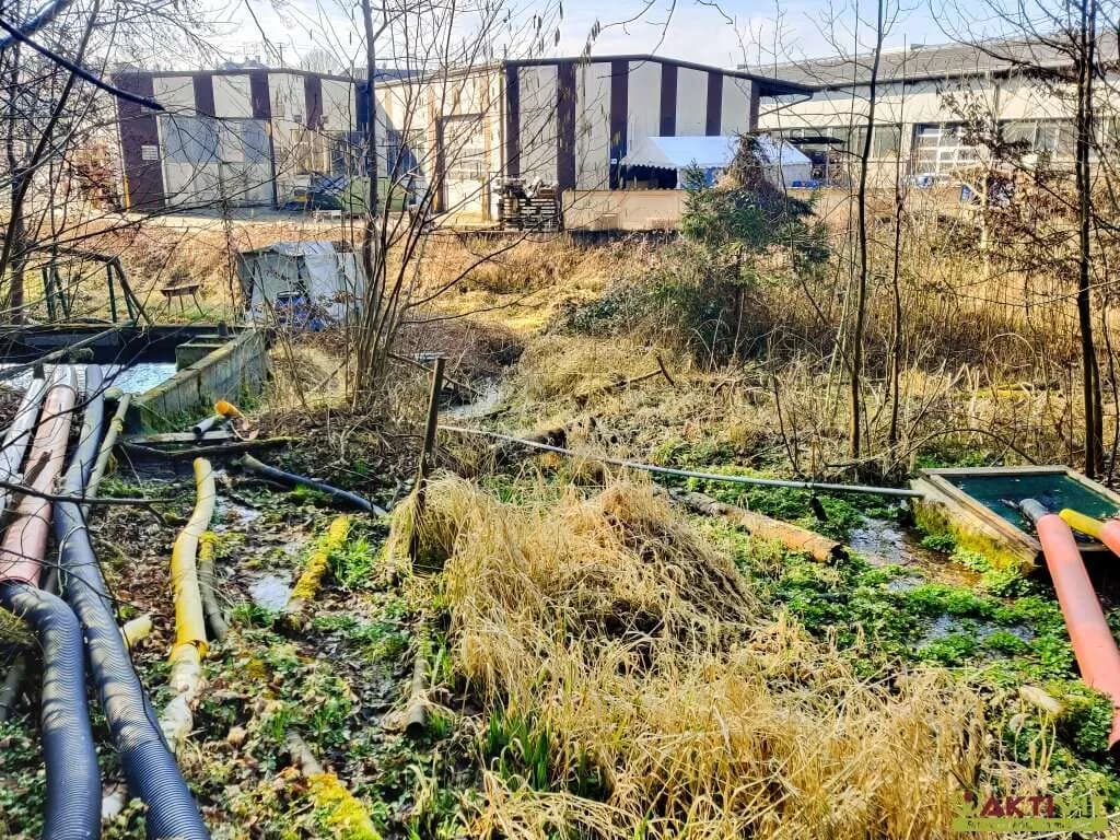 Grundstück kaufen in Wels-Land – 5 113 m², € 259.000 – Bild 13 von 19