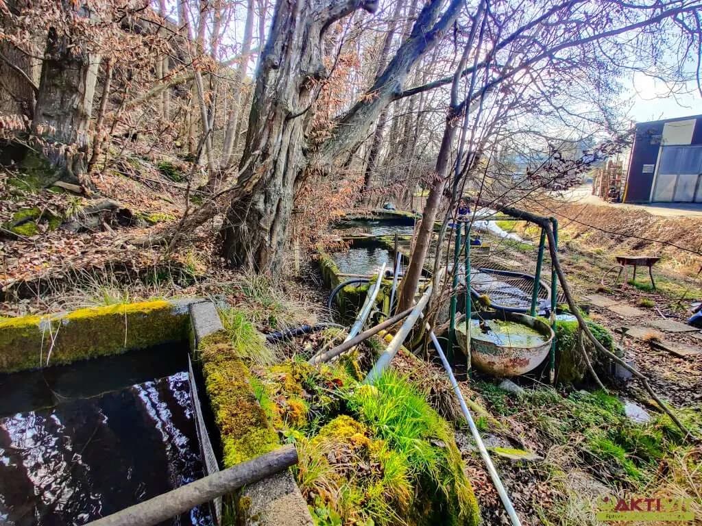 Grundstück kaufen in Wels-Land – 5 113 m², € 259.000 – Bild 14 von 19
