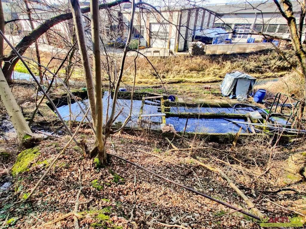 Grundstück kaufen in Wels-Land – 5 113 m², € 259.000 – Bild 15 von 19