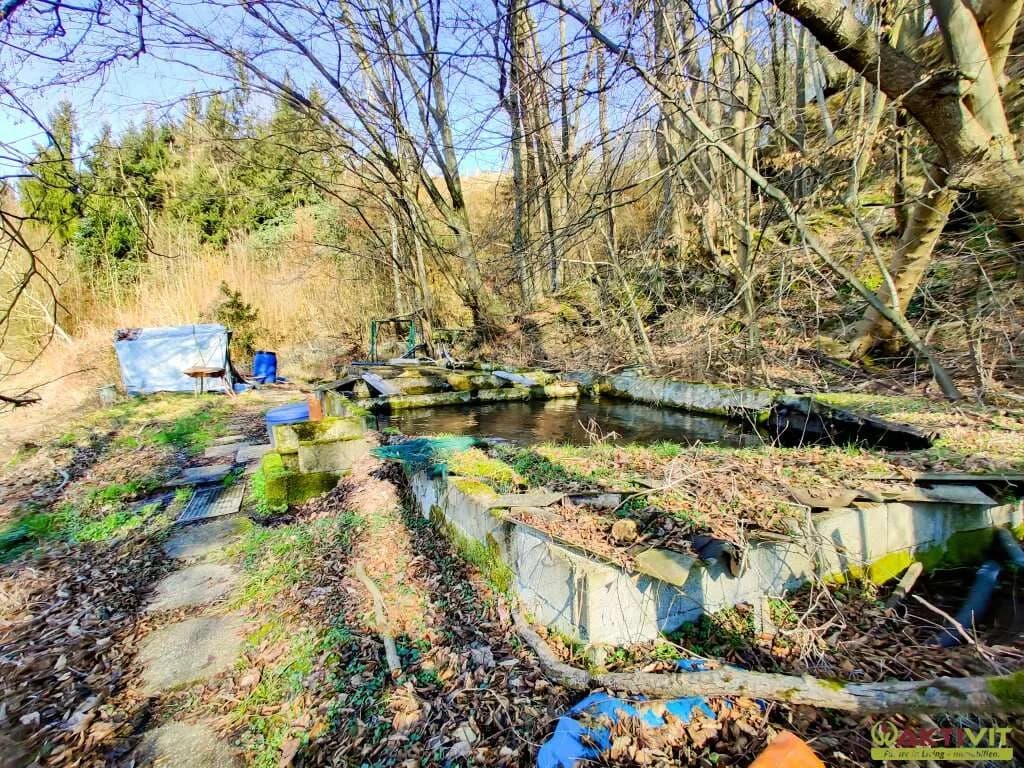 Grundstück kaufen in Wels-Land – 5 113 m², € 259.000 – Bild 17 von 19