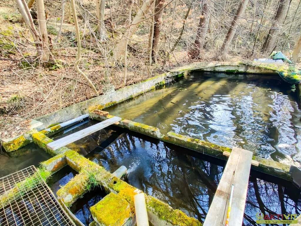 Grundstück kaufen in Wels-Land – 5 113 m², € 259.000 – Bild 18 von 19