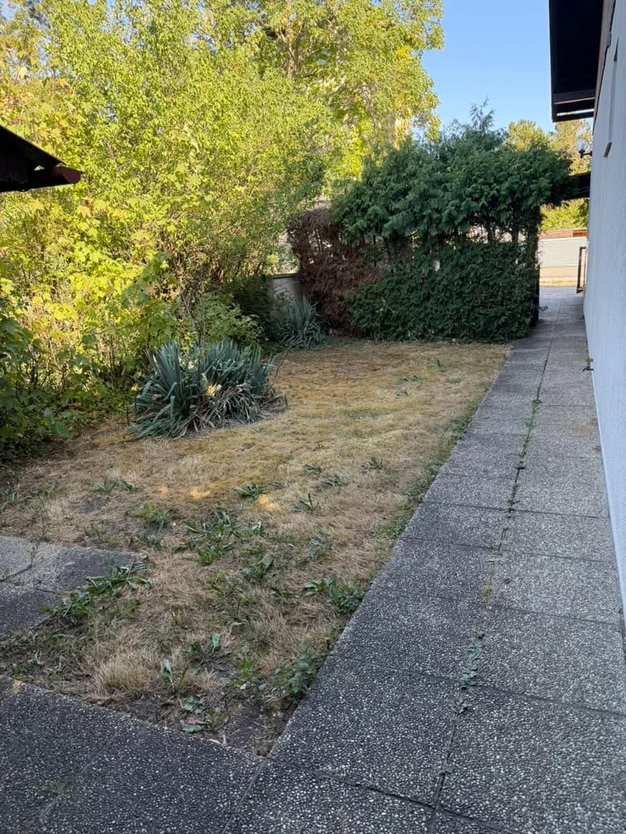 2-Zimmer-Haus mieten in Wiener Neustadt Land – 90 m², € 1.100 – Bild 4 von 28