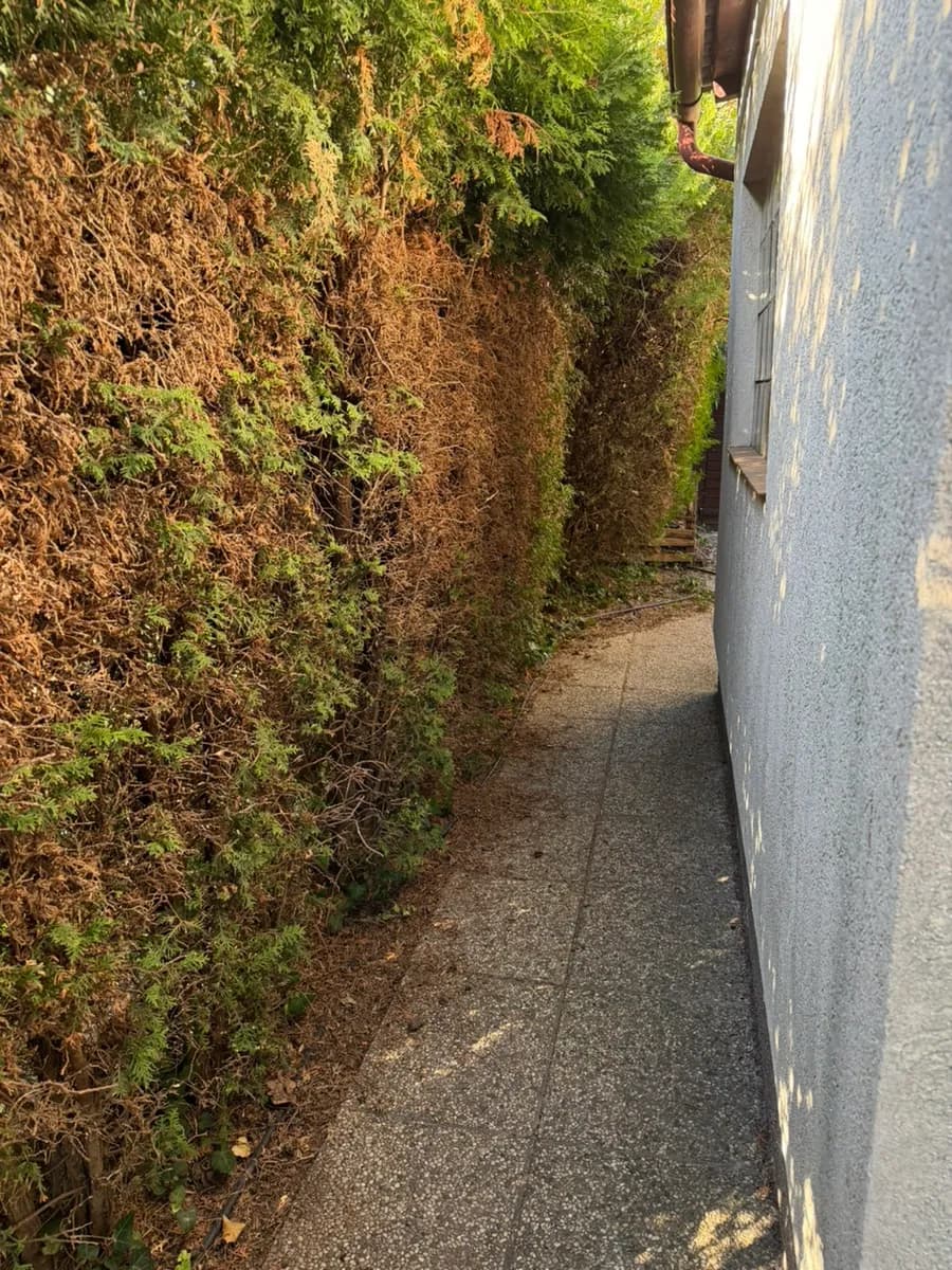 2-Zimmer-Haus mieten in Wiener Neustadt Land – 90 m², € 1.100 – Bild 6 von 28