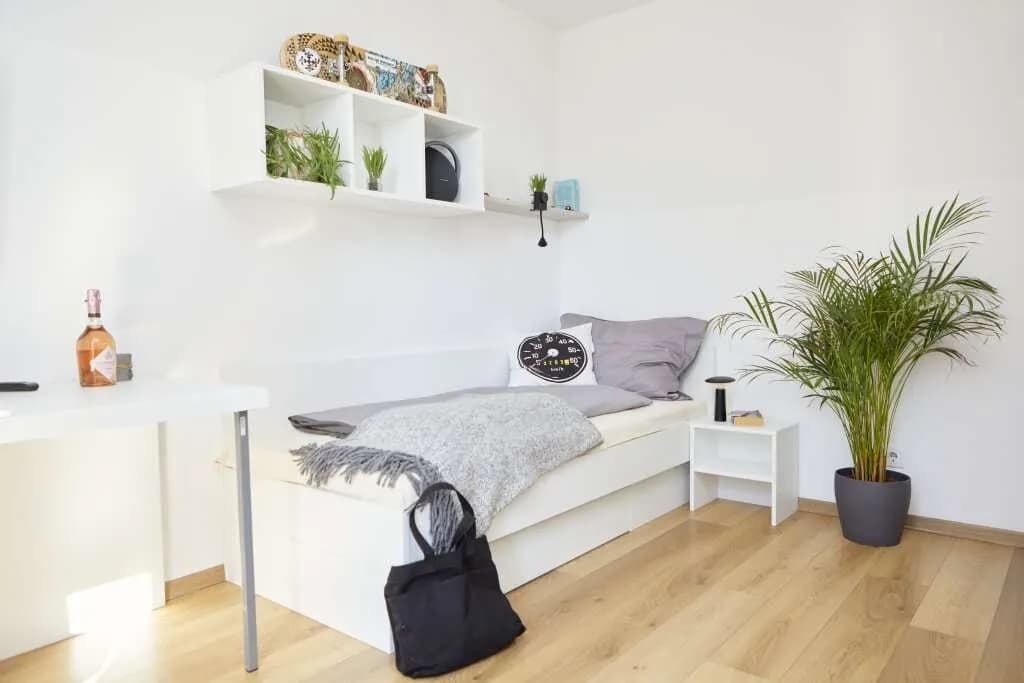 2-Zimmer-Wohnung mieten in Wien – 18,1 m², € 415 – Bild 4 von 14