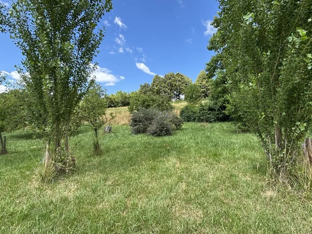 Haus kaufen in Hartberg-Fürstenfeld – 208 m², € 690.000 – Bild 10 von 17