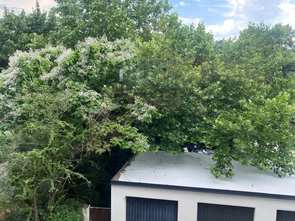 4-Zimmer-Wohnung mieten in Wels – 166 m², € 1.730 – Bild 24 von 26