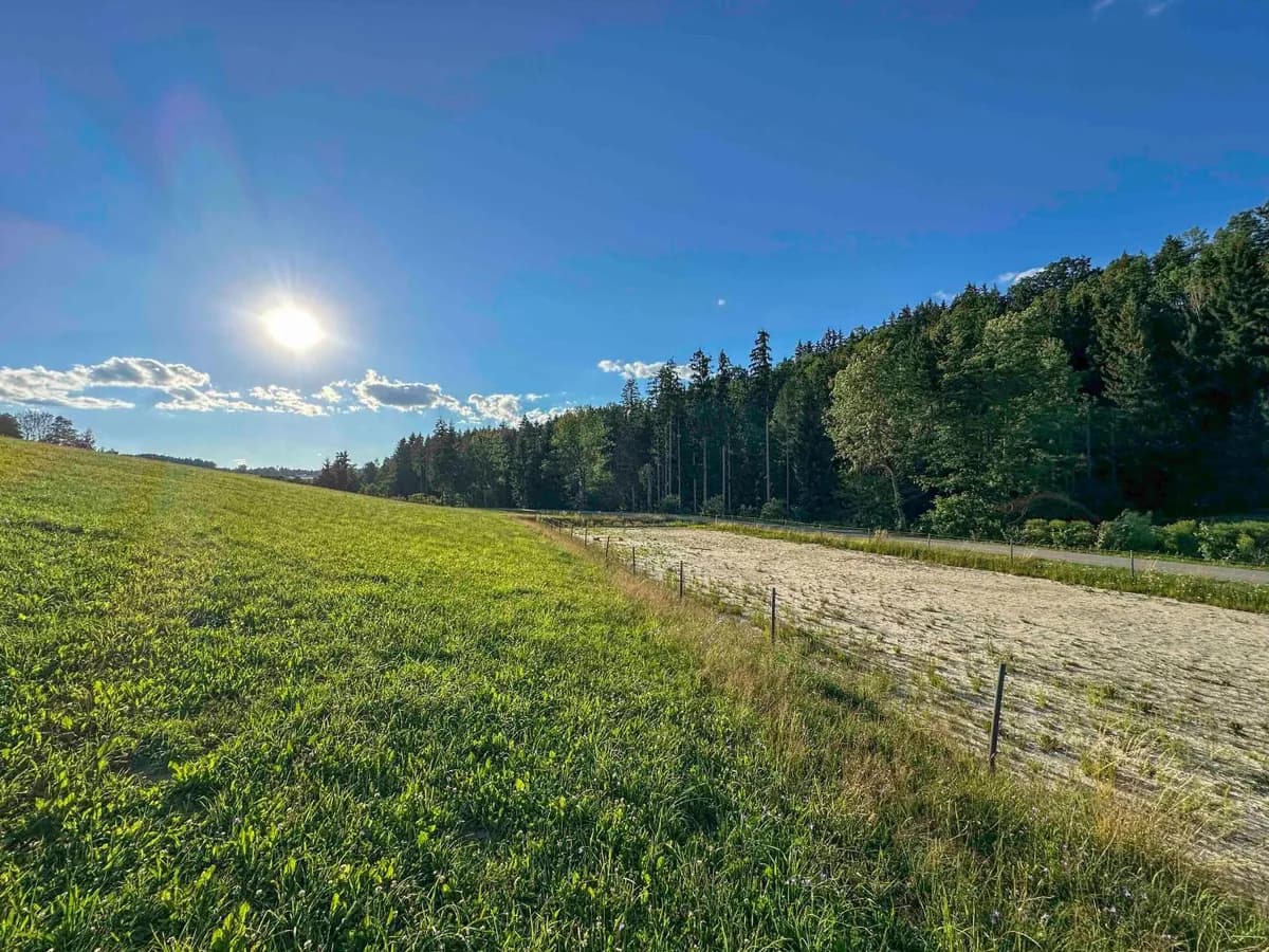 8-Zimmer-Grundstück kaufen in Rohrbach – 232 m², € 760.000 – Bild 17 von 18