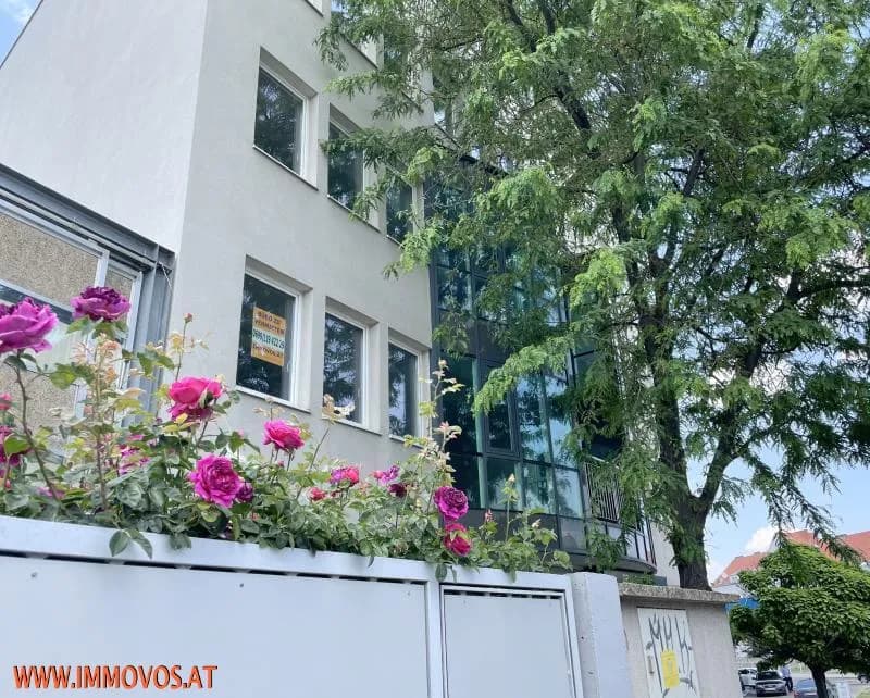 2-Zimmer-Gewerbeimmobilie mieten in Wien – 117,37 m², € 1.268 – Bild 2 von 12