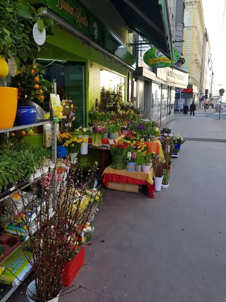 Gewerbeimmobilie mieten in Wien – 90 m², € 1.535 – Bild 14 von 18
