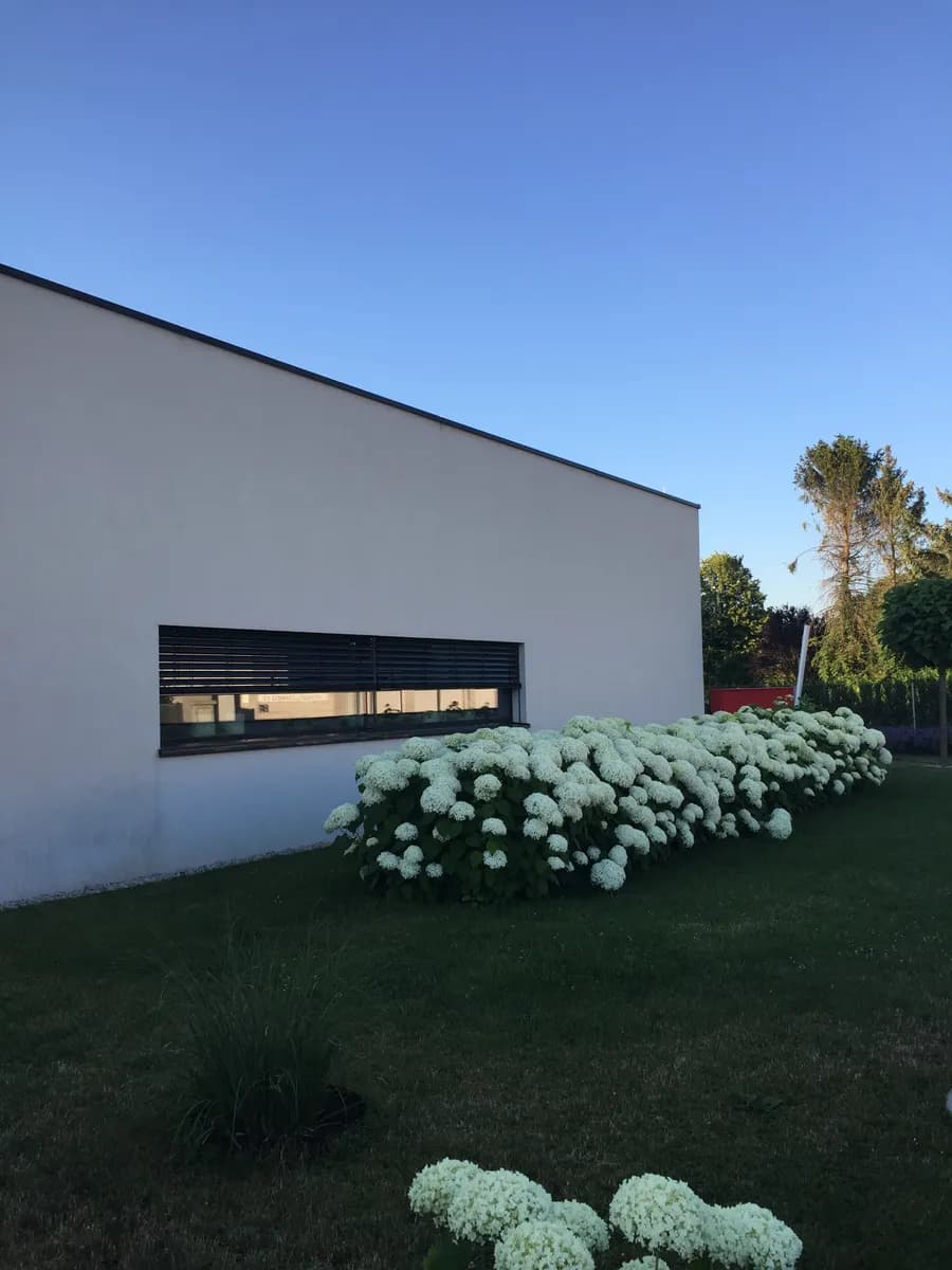 Haus kaufen in Baden – 240 m², € 1.290.000 – Bild 4 von 9