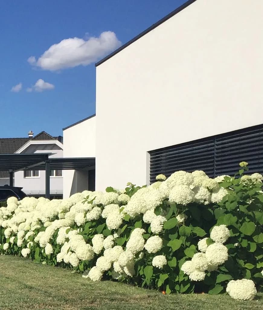 Haus kaufen in Baden – 240 m², € 1.290.000 – Bild 9 von 9