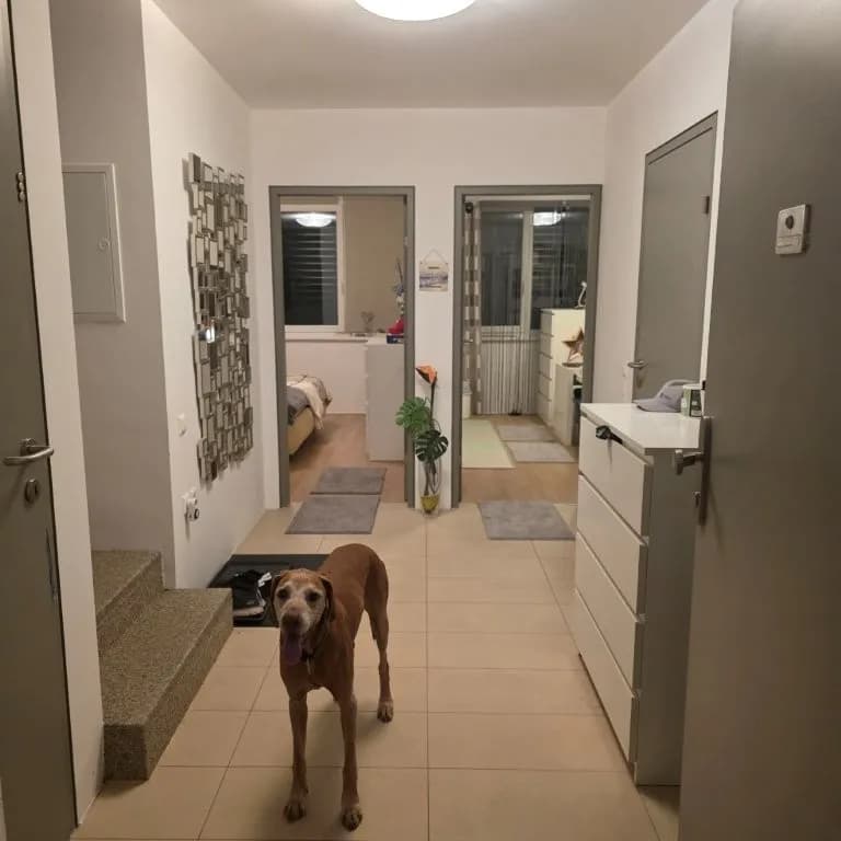Wohnung mieten in Linz Land – 86 m², € 988 – Bild 8 von 32