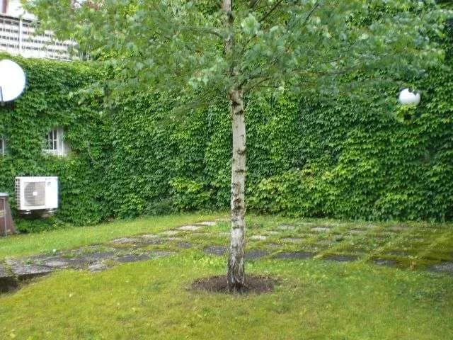 2-Zimmer-Wohnung mieten in Lilienfeld – 75 m², € 466 – Bild 4 von 4