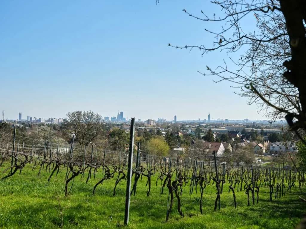 4-Zimmer-Wohnung kaufen in Wien – 87,23 m², € 575.000 – Bild 9 von 9