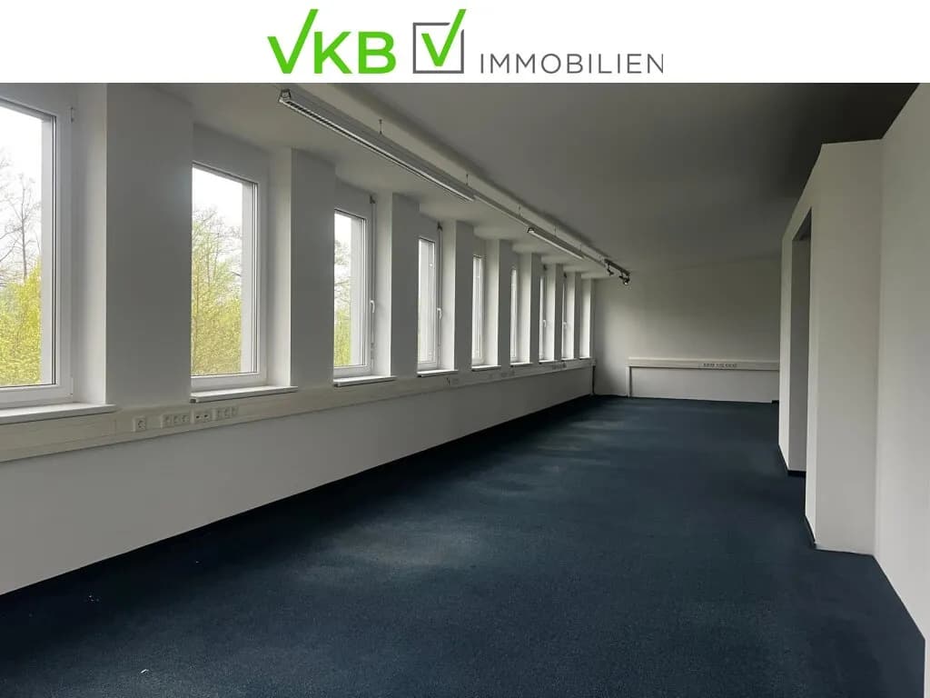 Gewerbeimmobilie mieten in Linz Land – 209 m², € 1.761 – Bild 4 von 10