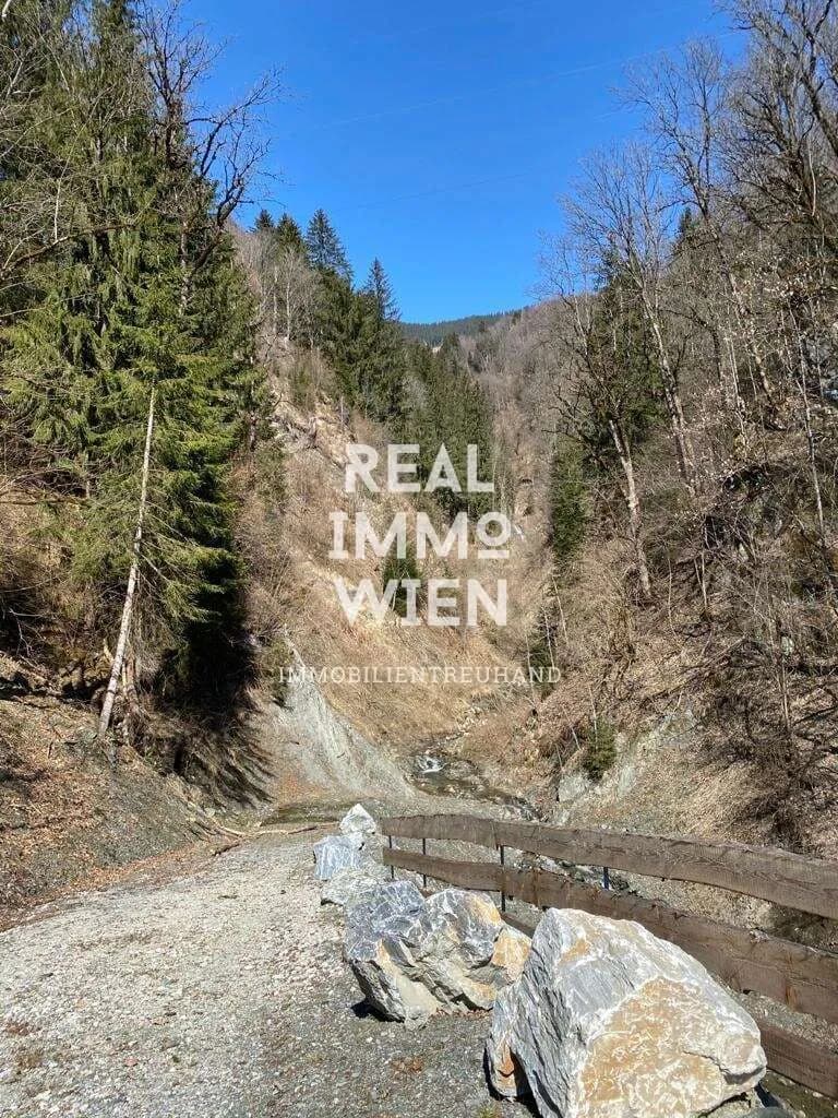 Grundstück kaufen in Zell am See – 13 141 m², € 298.000 – Bild 2 von 8