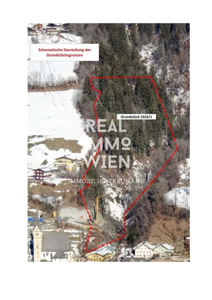 Grundstück kaufen in Zell am See – 13 141 m², € 298.000 – Bild 8 von 8