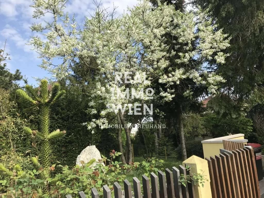 10-Zimmer-Immobilie kaufen in Tulln – 355 m², € 1.796.000 – Bild 5 von 25