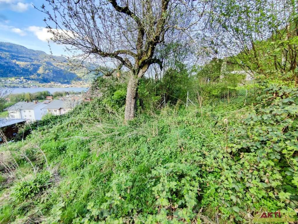Immobilie mieten in Klagenfurt – 250 m², € 250 – Bild 6 von 16