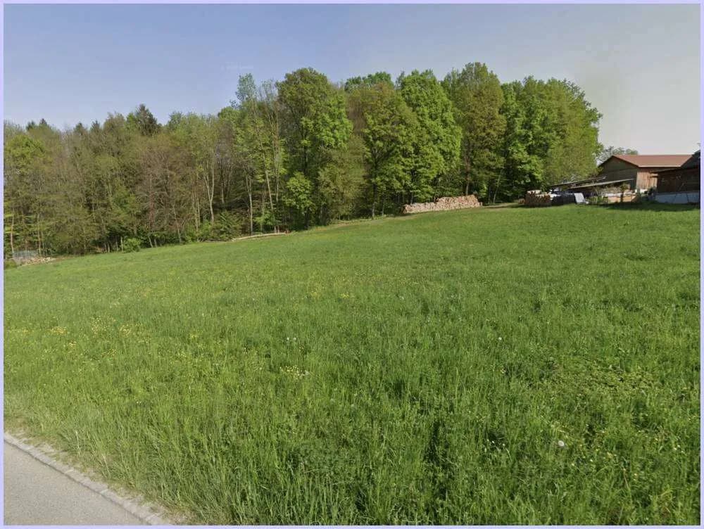 Grundstück kaufen in Leibnitz – 6 273 m², € 89 – Bild 10 von 13