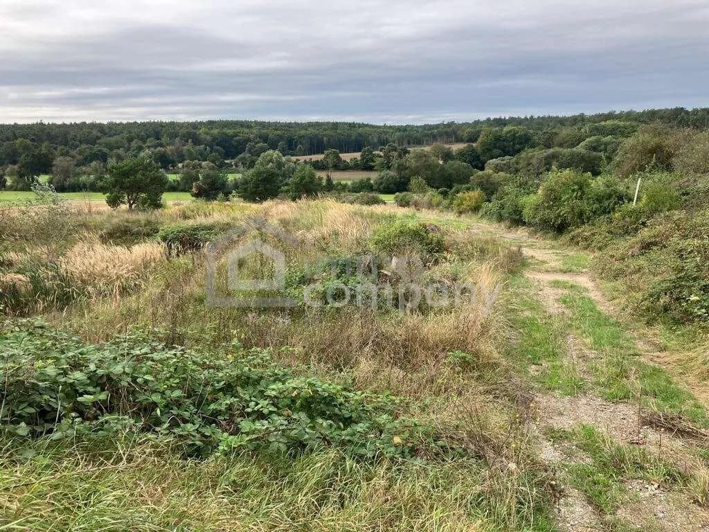 Immobilie kaufen in Oberpullendorf – 10 360 m², € 140.000 – Bild 4 von 5