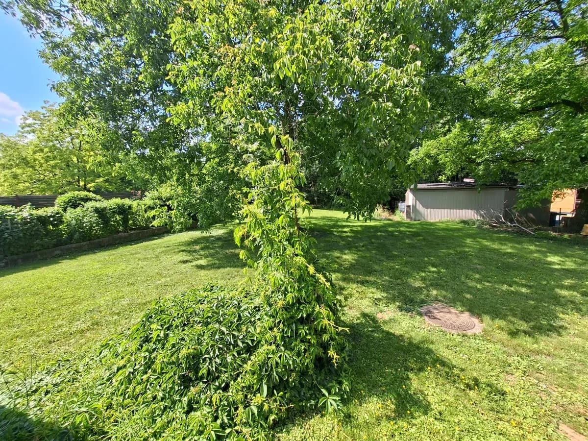 5-Zimmer-Haus kaufen in Hartberg-Fürstenfeld – 145 m², € 239.000 – Bild 9 von 55