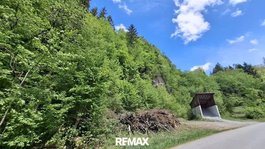 Grundstück kaufen in Sankt Pölten Land – 12 253 m², € 29.000
