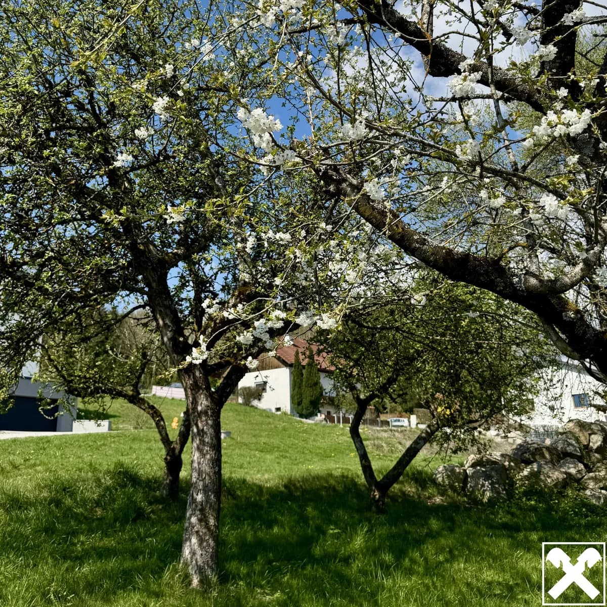 Grundstück kaufen in Urfahr-Umgebung – 930 m², € 295.000 – Bild 4 von 5