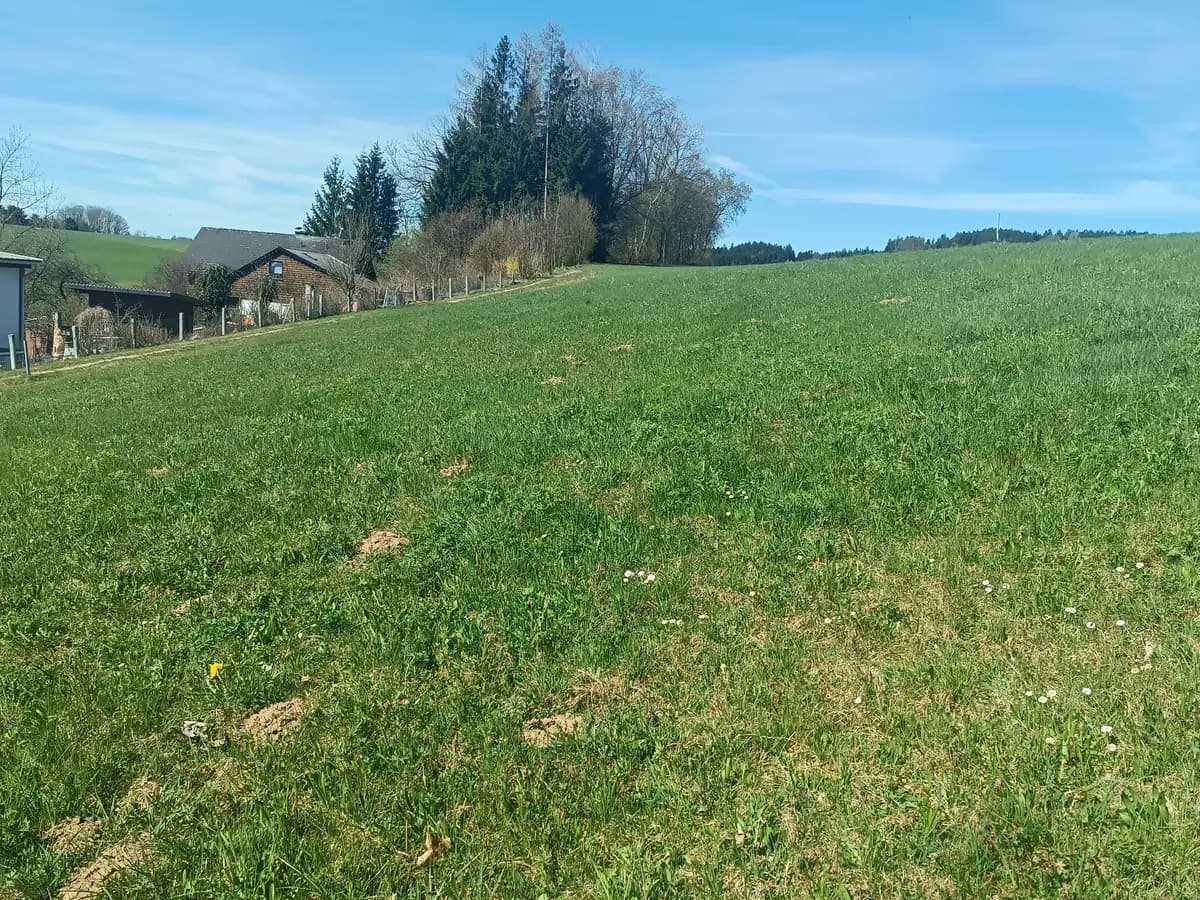 Grundstück kaufen in Vöcklabruck – 700 m², € 133.000 – Bild 5 von 11