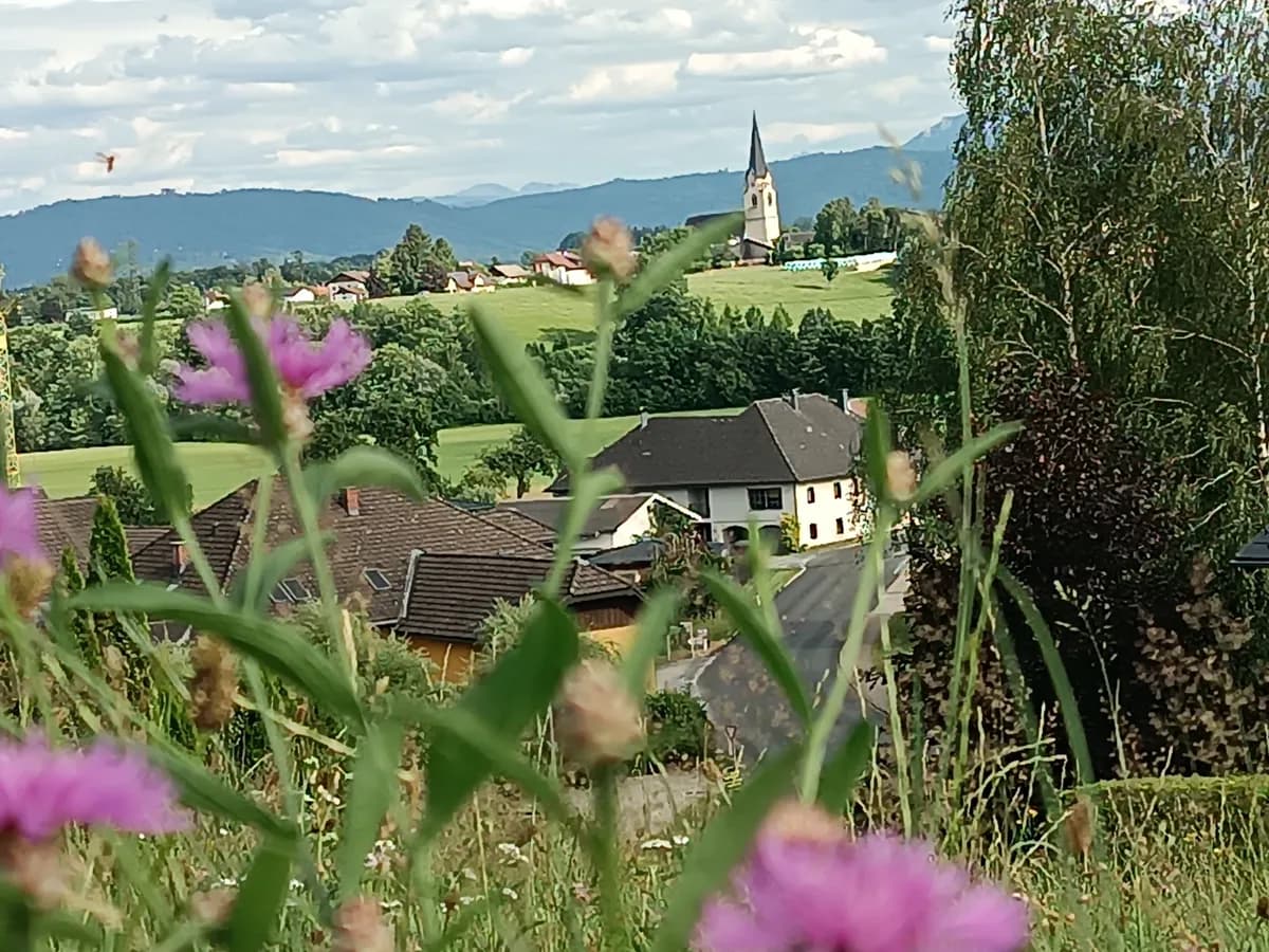 Grundstück kaufen in Vöcklabruck – 700 m², € 133.000 – Bild 6 von 11