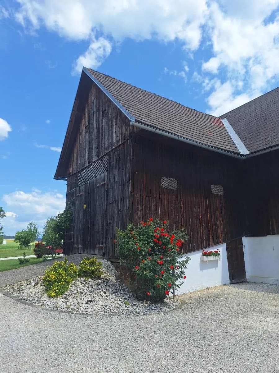 8-Zimmer-Gewerbeimmobilie kaufen in Wolfsberg – 282 m², € 590.000 – Bild 9 von 36