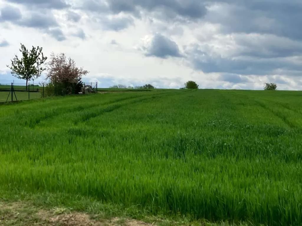 Grundstück kaufen in Wiener Neustadt Land – 728 m², € 182.500 – Bild 2 von 6