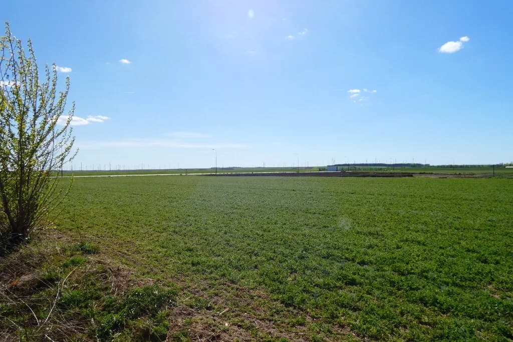 Immobilie kaufen in Neusiedl am See – 2 950 m², € 295.000