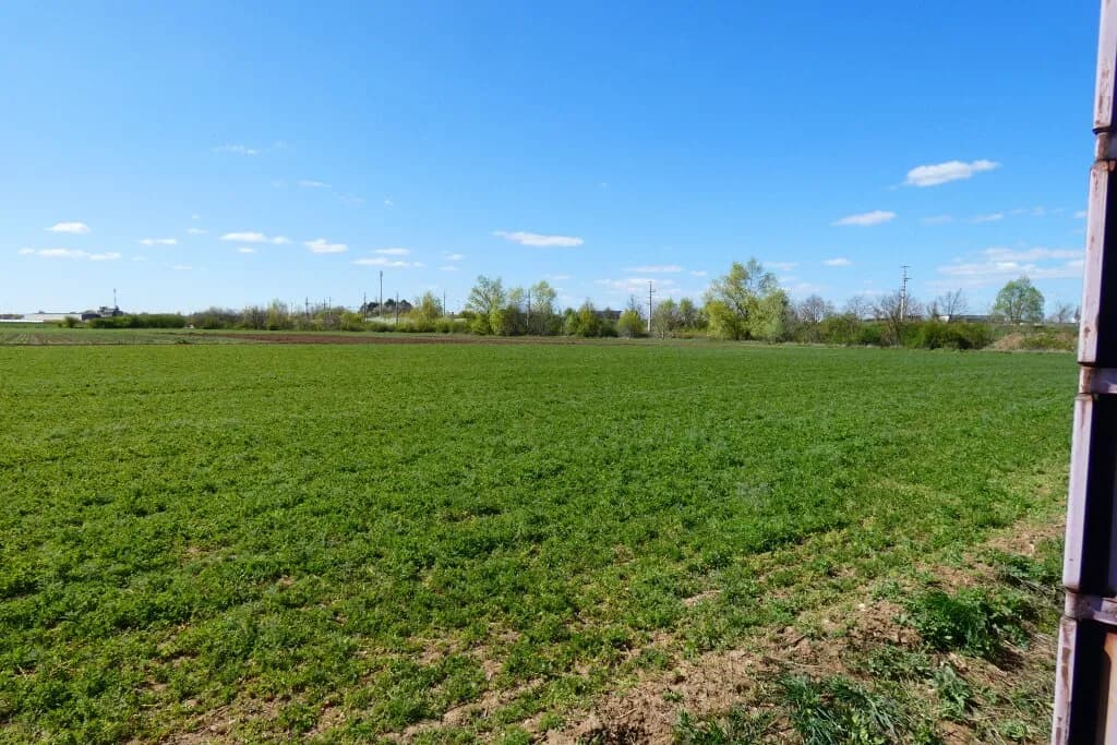 Immobilie kaufen in Neusiedl am See – 2 950 m², € 295.000 – Bild 2 von 3